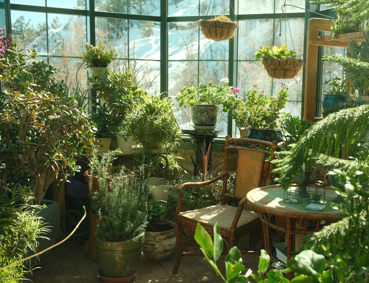 Kas met planten, stoelen en zonlicht