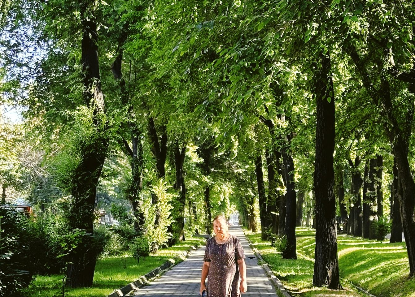 Vrouw wandelt over een zonnige laan met bomen